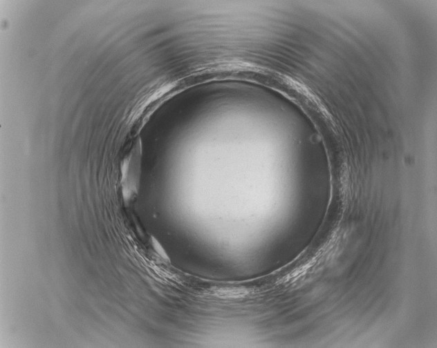 X0000059060825200510281630