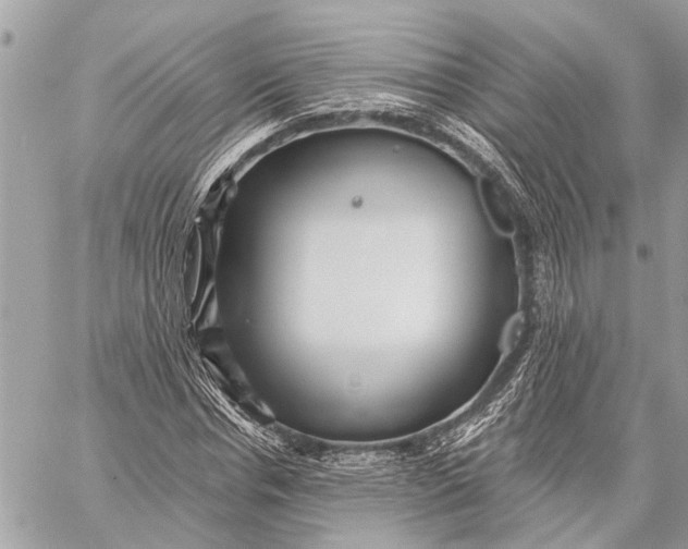 X0000059060826200510281630