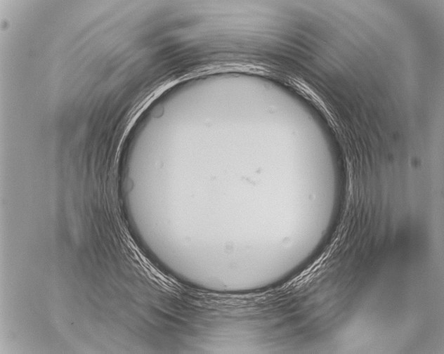 X0000059060828200510281630