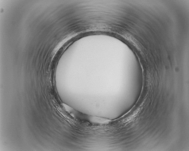 X0000059060830200510281630