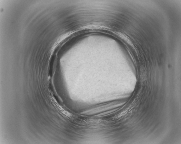 X0000059060831200510281630