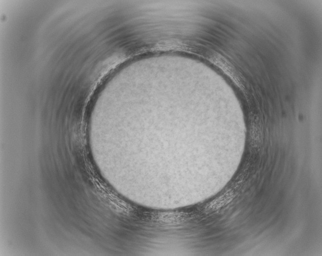 X0000059060832200510281630