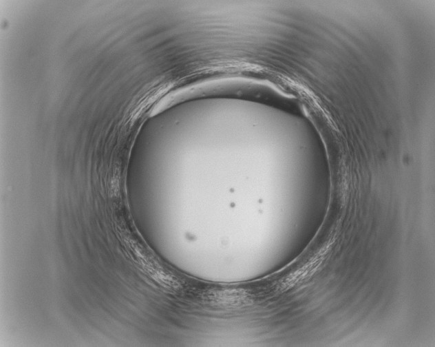 X0000059060833200510281630