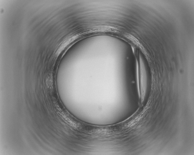 X0000059060834200510281630