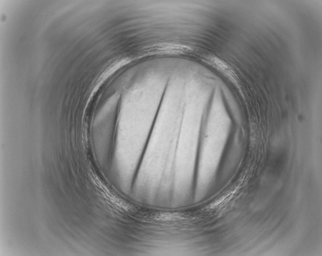 X0000059060835200510281630