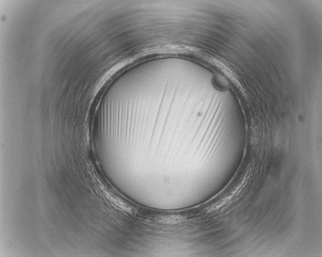 X0000059060837200510281630