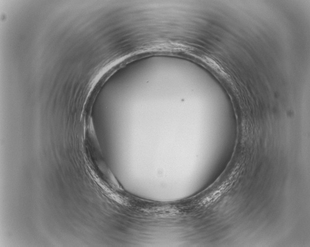 X0000059060838200510281630