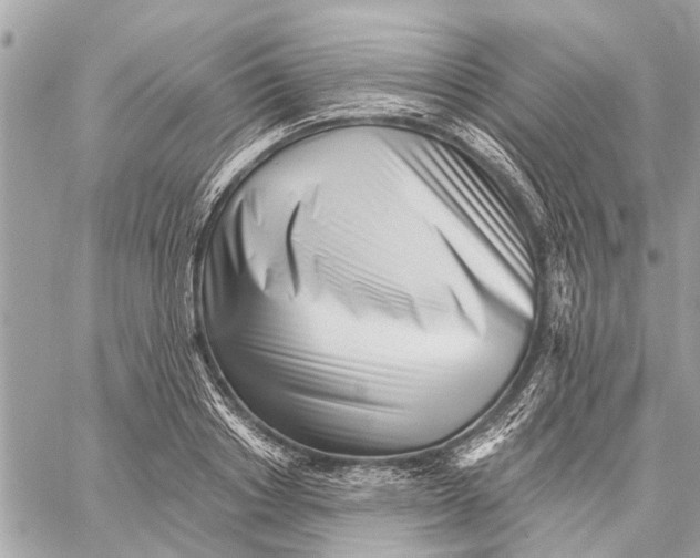 X0000059060842200510281630