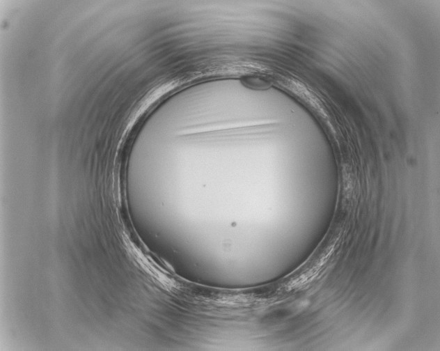 X0000059060843200510281630