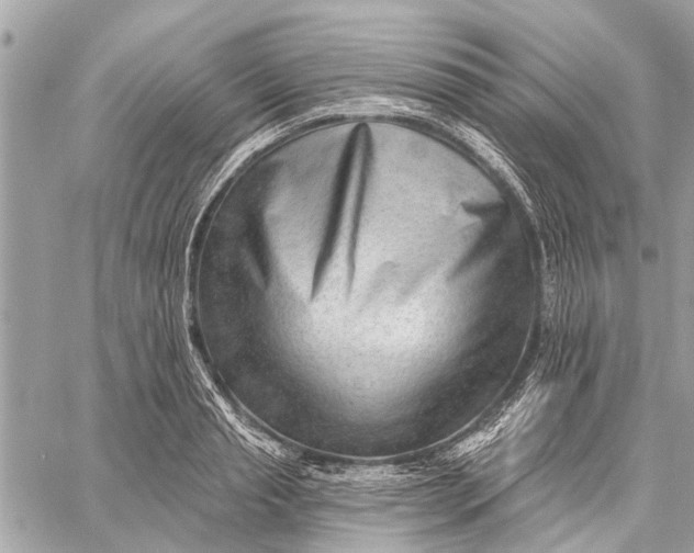 X0000059060845200510281630