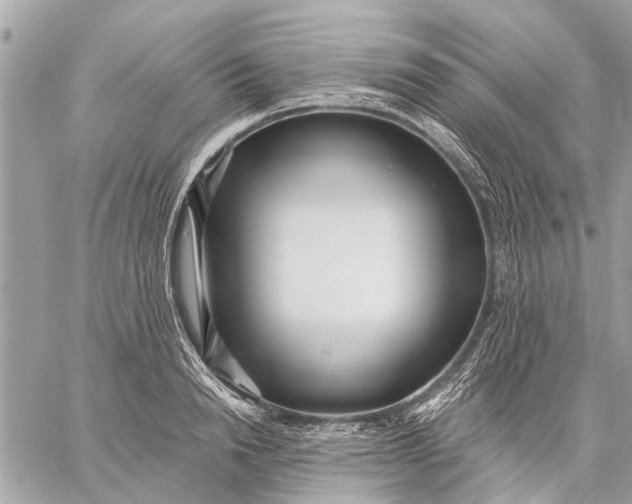 X0000059060846200510281630