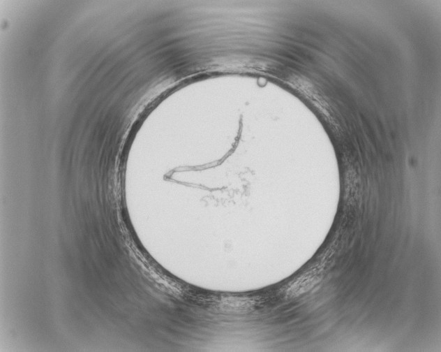 X0000059060848200510281631