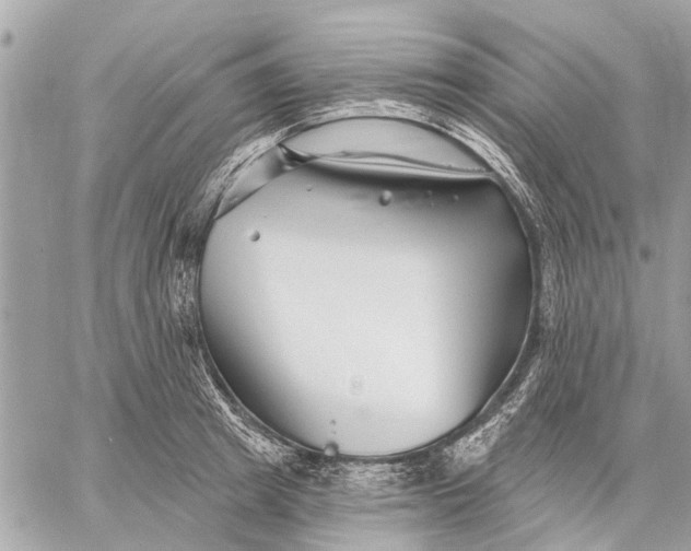 X0000059060849200510281631