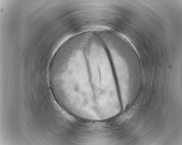 X0000059060851200510281631