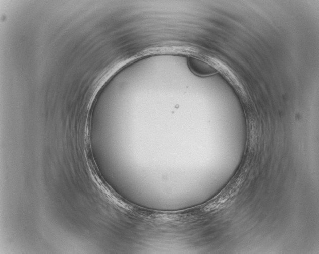 X0000059060852200510281631