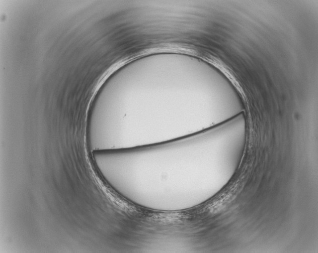 X0000059060853200510281631