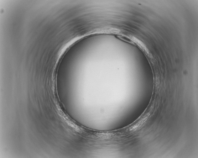 X0000059060854200510281631