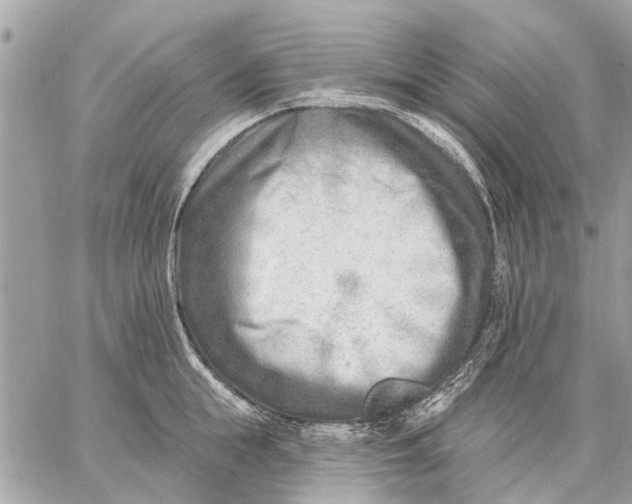 X0000059060855200510281631