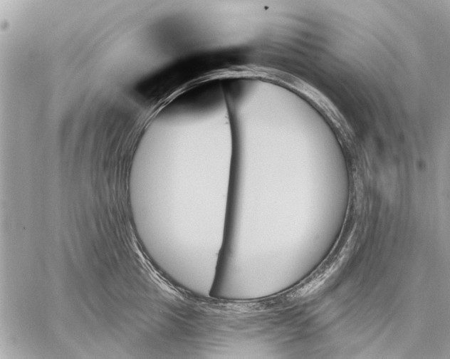 X0000059060857200510281631