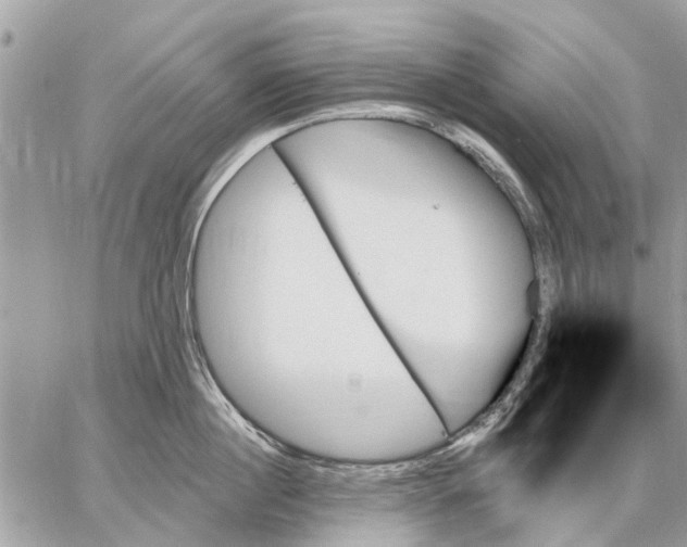 X0000059060860200510281631