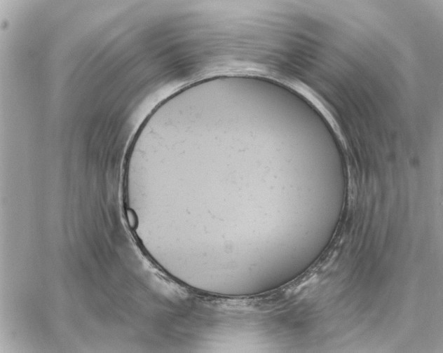 X0000059060861200510281631