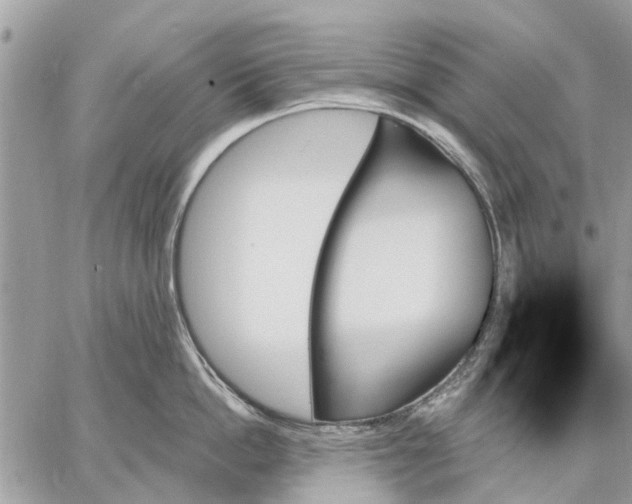 X0000059060862200510281631