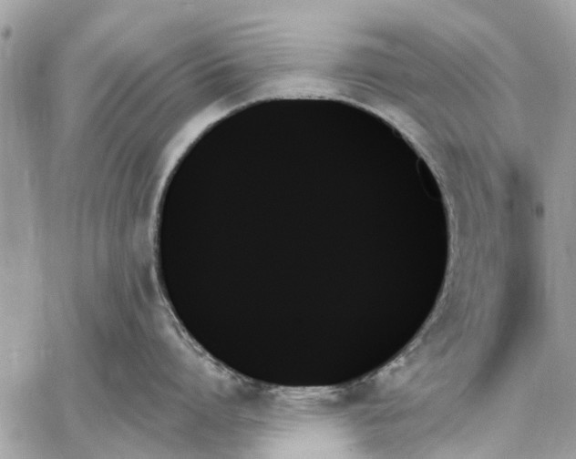 X0000059060864200510281631