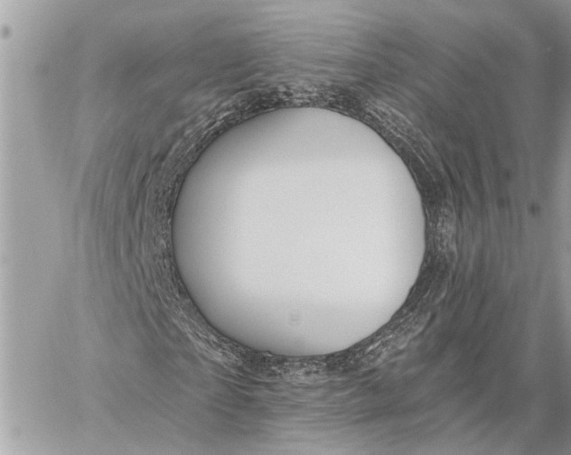 X0000059060865200510281630