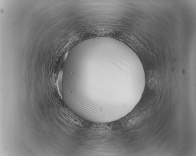 X0000059060866200510281630