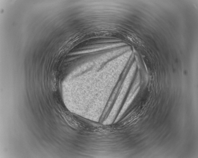 X0000059060868200510281630