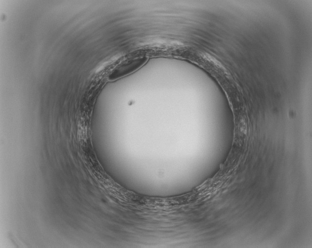 X0000059060869200510281630