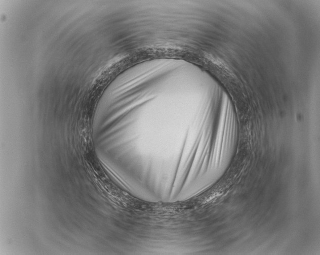 X0000059060870200510281630