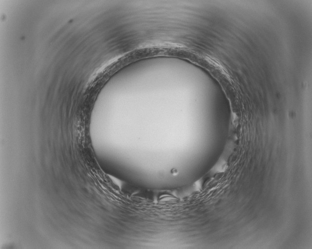 X0000059060872200510281630