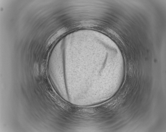 X0000059060874200510281630