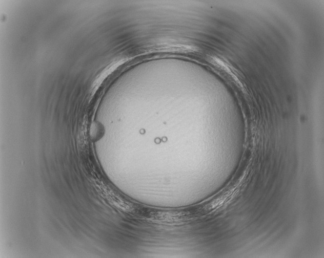 X0000059060875200510281630