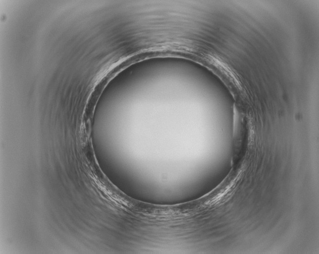 X0000059060876200510281630