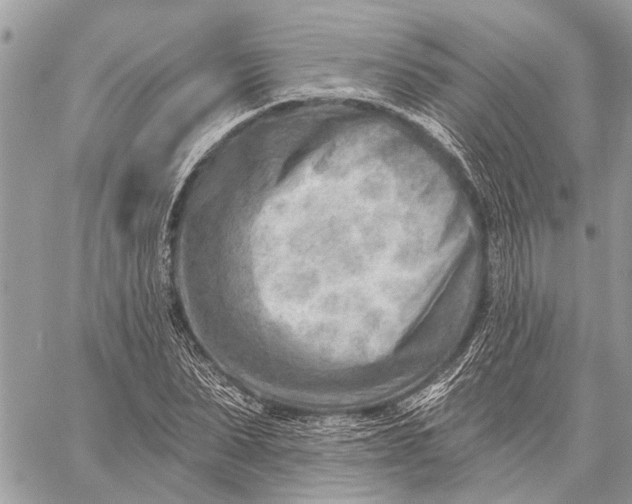 X0000059060879200510281630