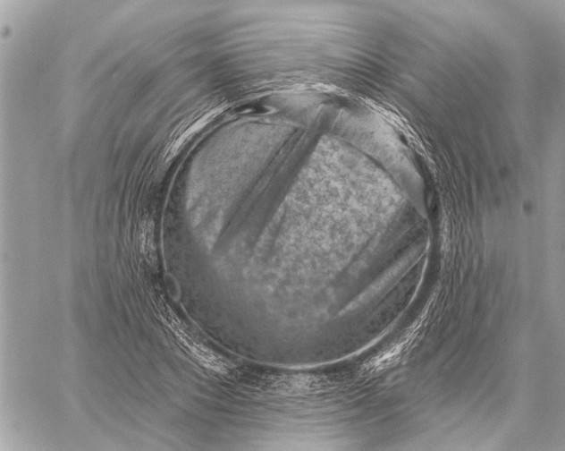 X0000059060881200510281630