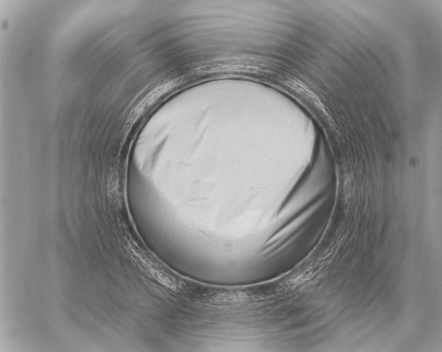 X0000059060882200510281630