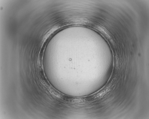 X0000059060883200510281630