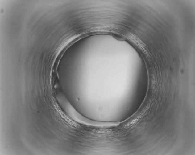 X0000059060884200510281630