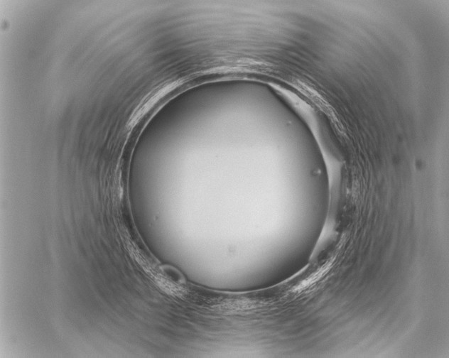 X0000059060885200510281630