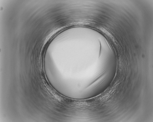 X0000059060886200510281630