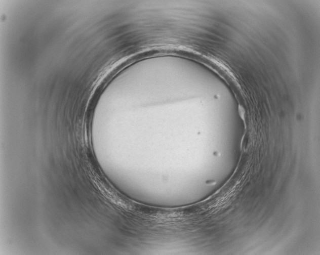 X0000059060887200510281630