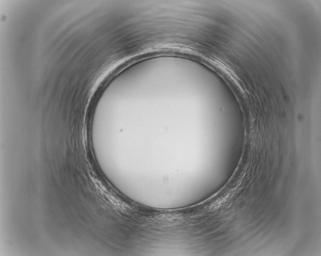 X0000059060888200510281630