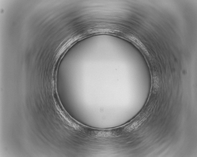 X0000059060890200510281630