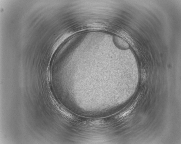 X0000059060891200510281630