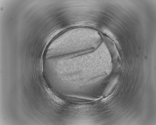 X0000059060892200510281630