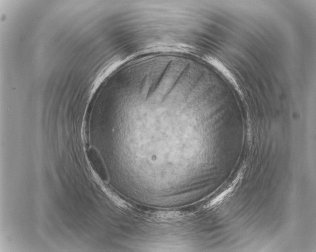 X0000059060893200510281630