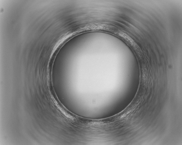 X0000059060894200510281630